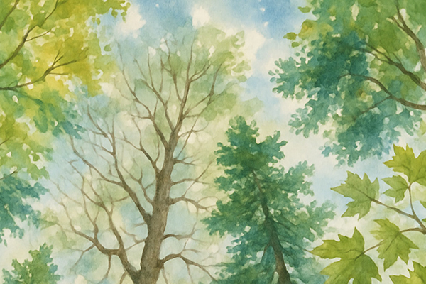 تحلیل داستان درختان تا آسمان رشد نمیکنند